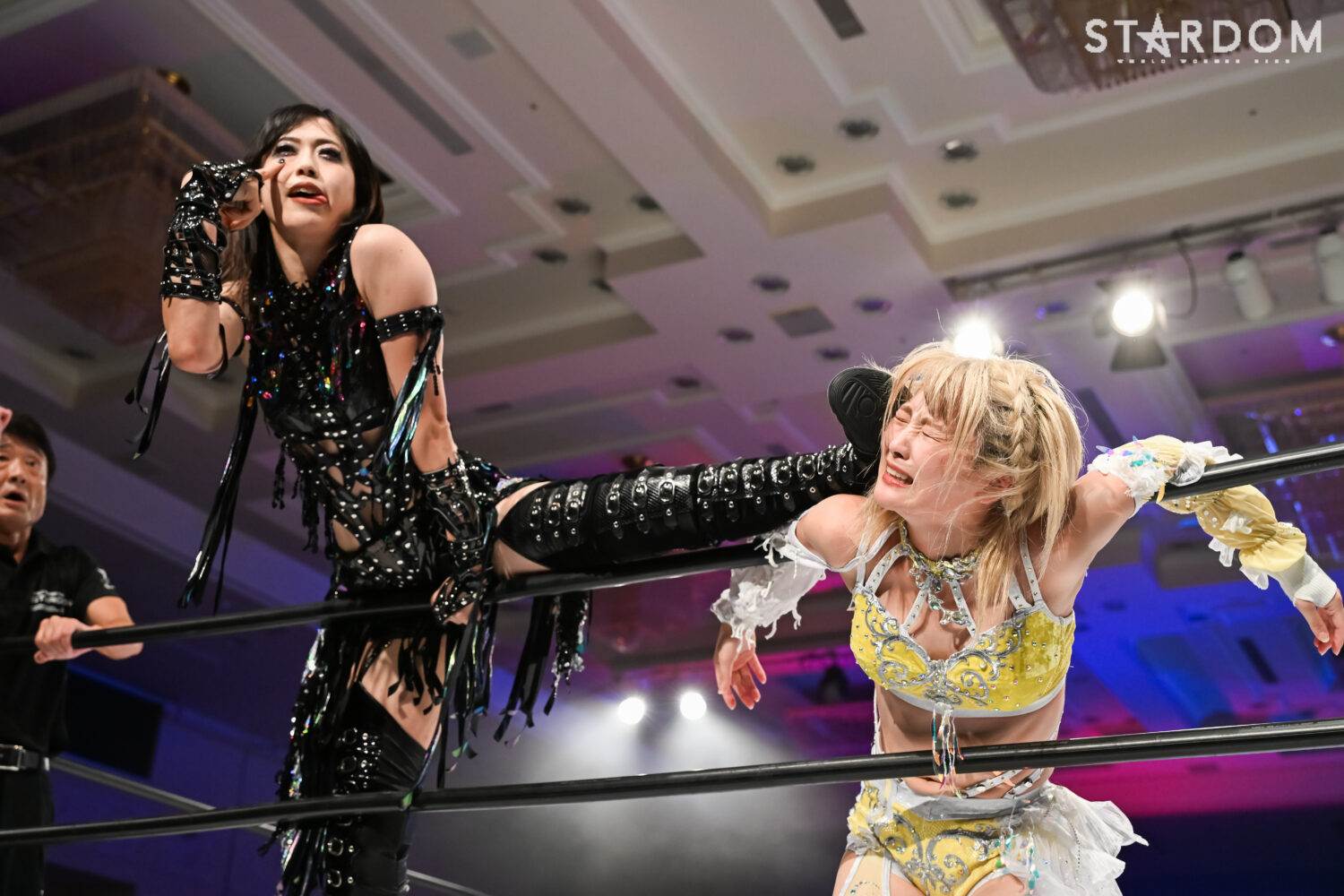 なつぽいが明かす苦悩の2025年 7・18IWGP女子王座戦へ「忘れていた感情