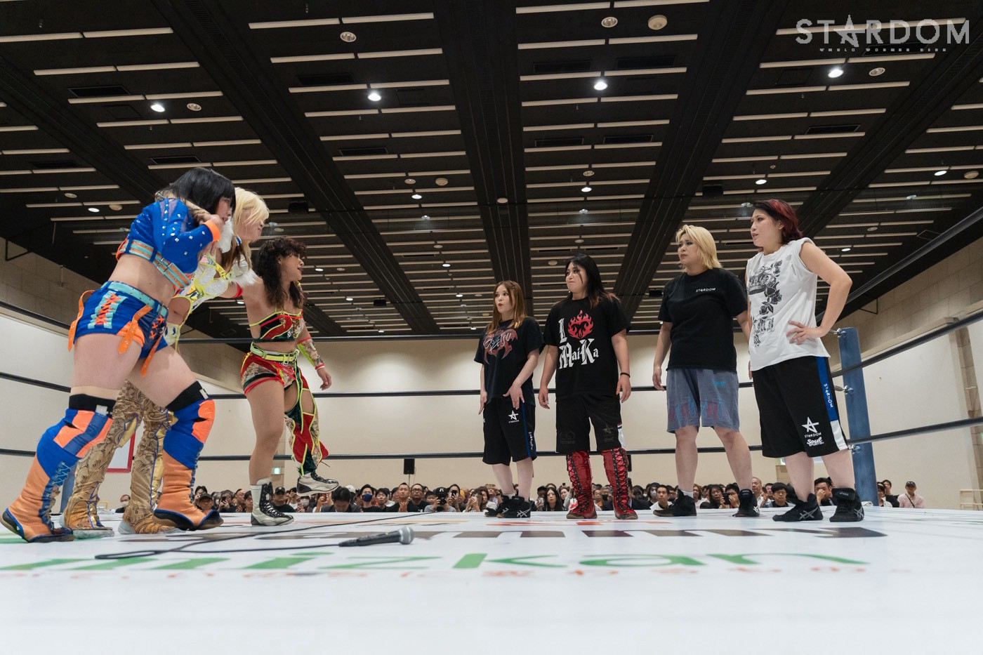 第8代 紫雷イオ&岩谷麻優 | スターダム✪STARDOM 第8代 紫雷イオ&岩谷麻優 | スターダム✪STARDOM